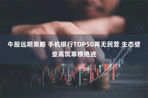 牛股远期策略 手机银行TOP50再无民营 生态壁垒高筑草根绝迹