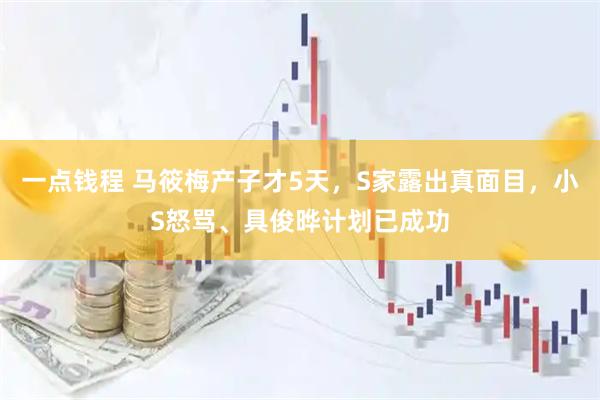 一点钱程 马筱梅产子才5天，S家露出真面目，小S怒骂、具俊晔计划已成功