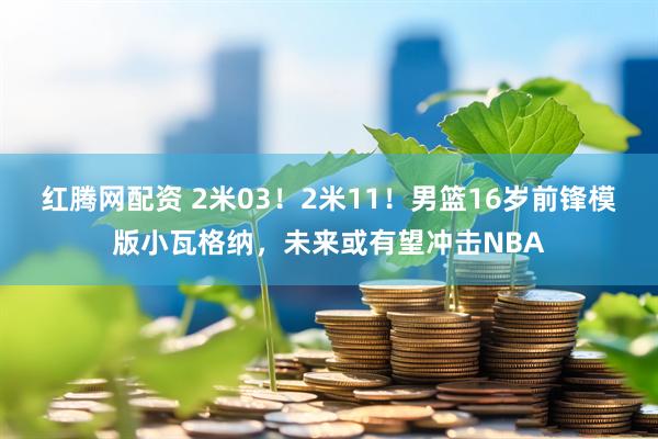 红腾网配资 2米03！2米11！男篮16岁前锋模版小瓦格纳，未来或有望冲击NBA