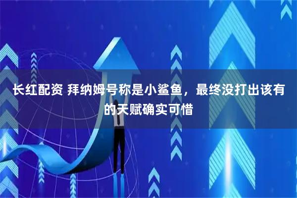 长红配资 拜纳姆号称是小鲨鱼,最终没打出该有的天赋确实可惜