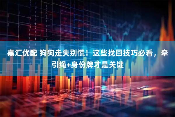 嘉汇优配 狗狗走失别慌！这些找回技巧必看，牵引绳+身份牌才是关键